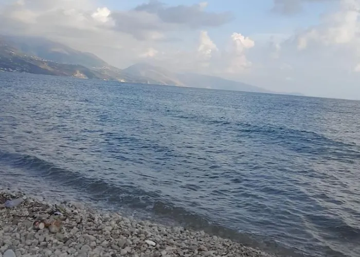 Summer كيبارو